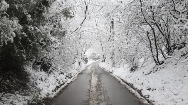 Снег у Београду