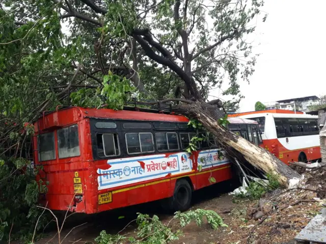 एसटीवर झाड पडून नुकसान