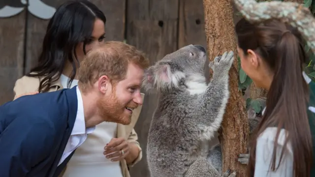 Меган и принц Гарри