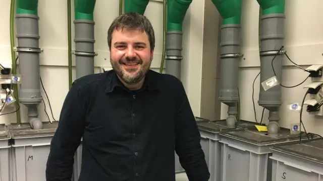 الباحث هوزلاغ الخبير في النباتات