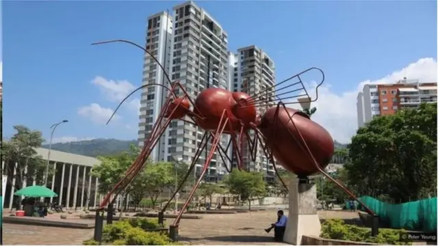 कोलंबिया मुंगी