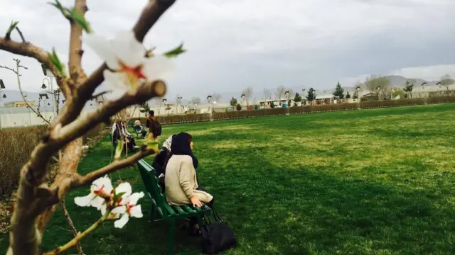 افغان امریکايي پوهنتون