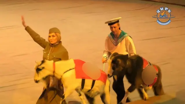 шоу с животными со свастикой