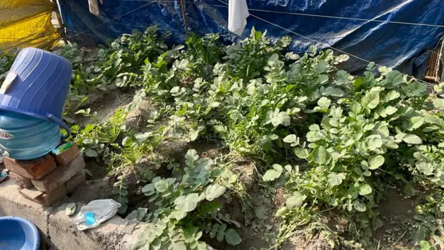 शेतकरी आंदोलनाचं १ वर्ष