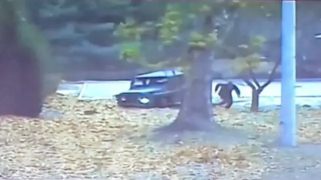 유엔사가 공개한 귀순 당시 CCTV 영상