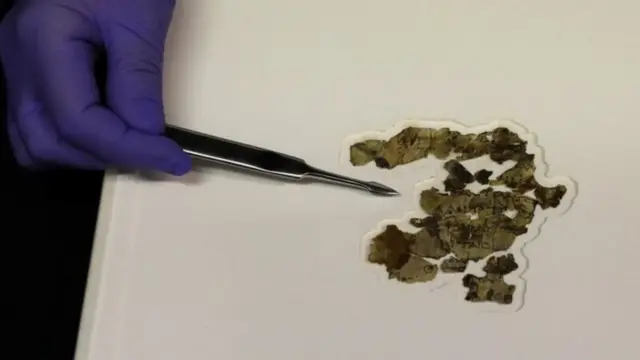 Serpihan naskah ini menghasilkan 11 ayat di Alkitab.