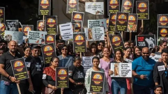 भटके कुत्रे, प्राणी, हल्ले, गुन्हा