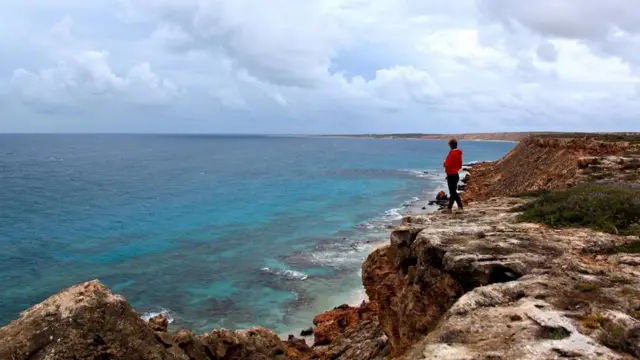 （圖片來源：Fleur Bainger）