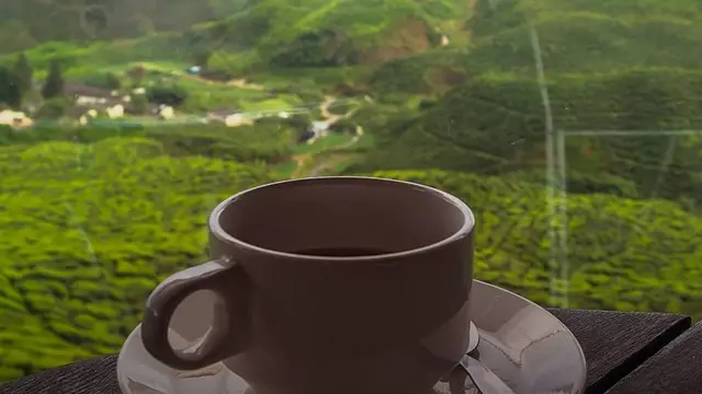 కాఫీ కప్పు