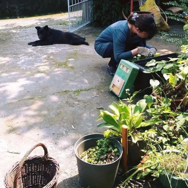 我"隔绝"包括父母在内的人群，自己选择见的人和时间。