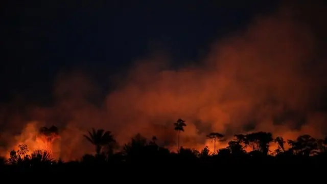 incêndio na Amazôniaem quem apostar no bet365 hojeagosto deste ano