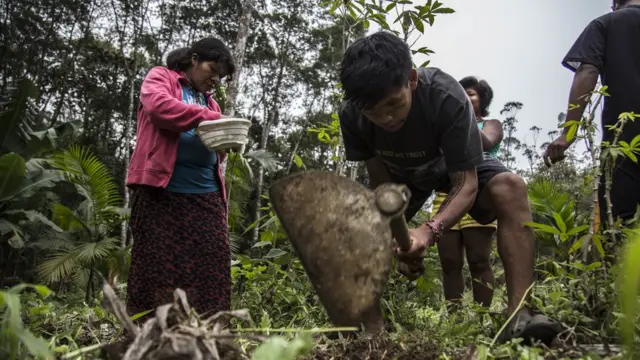 Indígenas manipulando a terra para plantação