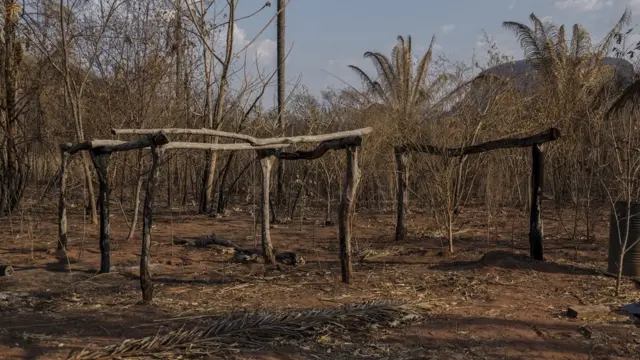 bolivia incendio