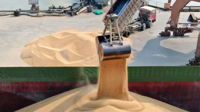 Українську сою доставили в китайський порт Наньтун, травень 2019 року. Під час торгової війни з США у Китаї скоротили імпорт американської сої і надали перевагу іншим країнам