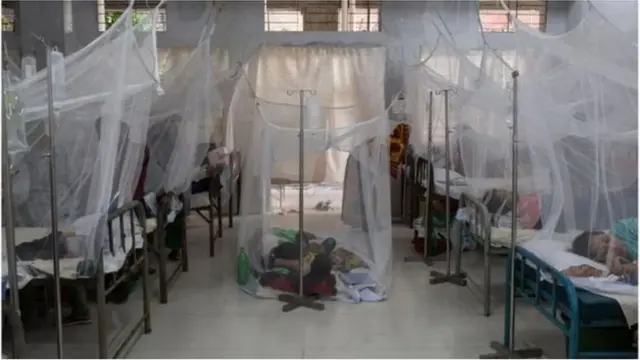 এ পর্যন্ত ডেঙ্গু আক্রান্তের সংখ্যা ৭২ হাজার ছাড়িয়ে গেছে