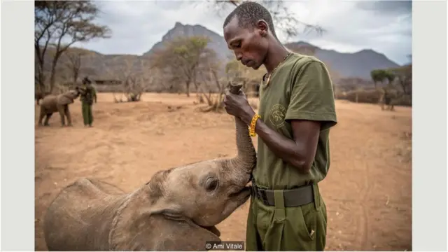 2016年，非洲第一家社区所有的大象孤儿院在桑布卢郡（Samburu County）创立后，热特提大象保护区（Reteti Elephant Sanctuary）就此成立了。