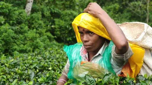 மலையக மக்கள்