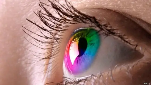 கண் விழி