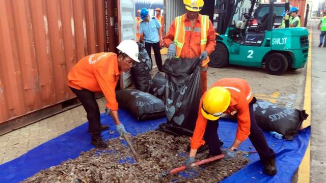 Hải quan bắt giữ 5 tấn vảy tê tê ở Vũng Tàu năm 2019