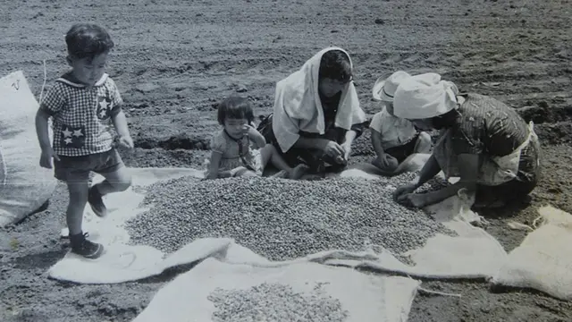 Japoneses en Colombia