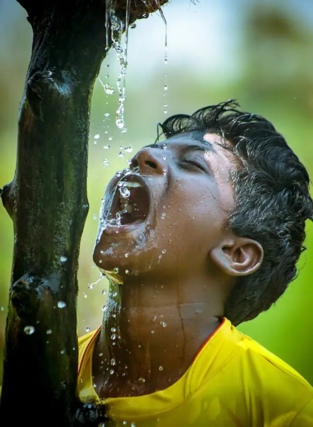 நீரும், நானும்: பிபிசி தமிழ் வாசகர்களின் புகைப்படத் தொகுப்பு
