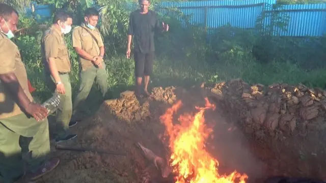 Pembakaran bangkai buaya yang sudah mulai membusuk.
