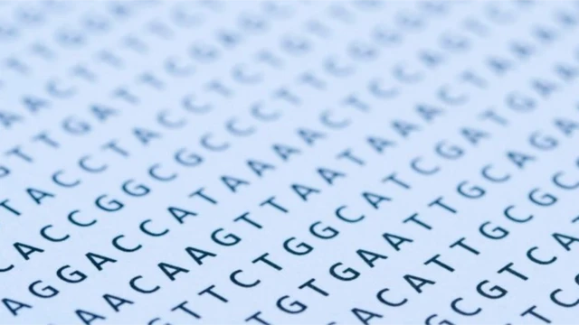 ลำดับพันธุกรรมที่ปรากฏซ้ำบ่อยครั้งขึ้นเรื่อย ๆ ในคนรุ่นหลัง อาจเป็นยีนที่ได้รับคัดเลือกโดยธรรมชาติ