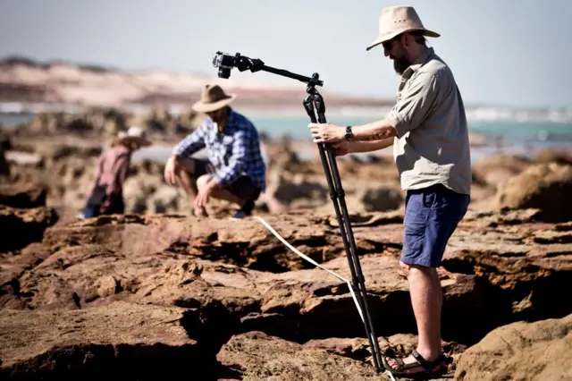 Huellas de dinosaurio en Australia