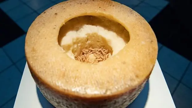 ترسناک‌ترین غذاها کدام اند؟