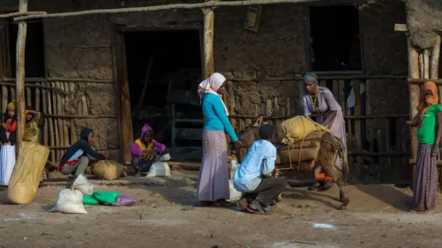 አህያ ላይ ጭነት የሚጭኑ ሰዎች