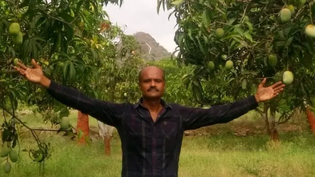 કચ્છમાં ખેતી