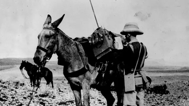 प्रतीकात्मक तस्वीर