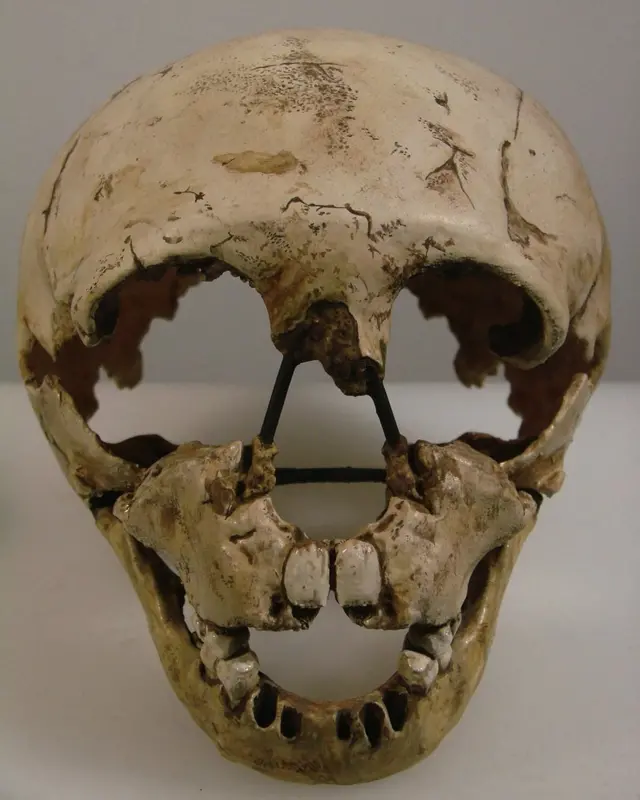 Череп п'ятирічного неандертальця