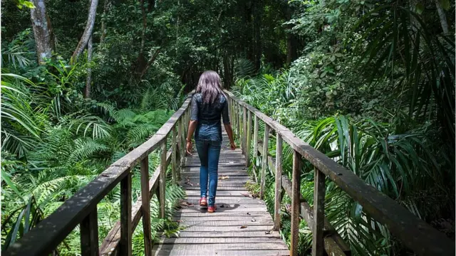 Nwaanyị na-elegharị anya n'ime ọhịa Lekki Conservation Centre dị na Lagos.