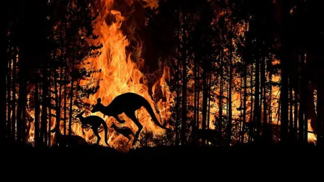 ஆஸ்திரேலியா நாட்டில் நீண்ட நாள் தங்க ஒரு வாய்ப்பு மற்றும் பிற செய்திகள்