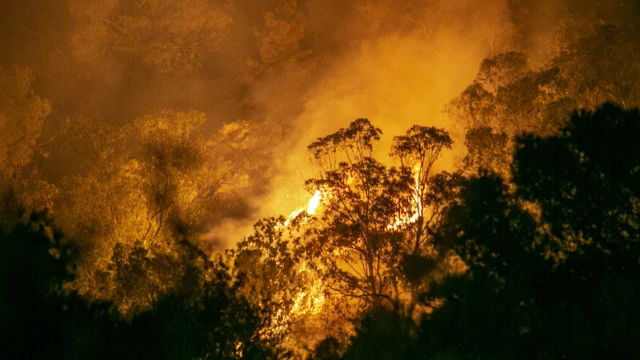 A wildfire illuminates the night sky in Metline, Tunisia - Tuesday 10 August 2021