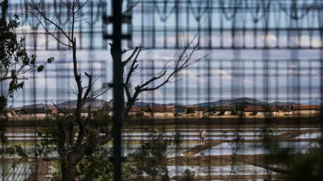 una cerca en una frontera