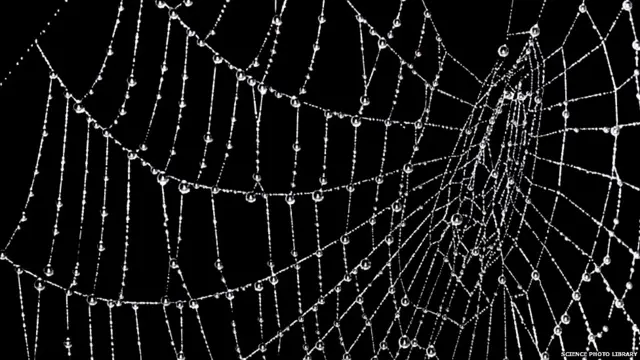 ਜਦੋਂ ਮੀਂਹ ਮਿੱਟੀ ਨਾਲ ਟਕਰਾਉਂਦਾ ਹੈ ਤਾਂ ਜਿਓਸਮੀਨ ਨਾਂ ਦਾ ਇੱਕ ਅਣੁ ਪੈਦਾ ਹੁੰਦਾ ਹੈ