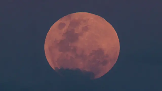 ஆஸ்திரேலியாவின் சிட்னி மேன்லி கடற்கரையில் தென்பட்ட ரத்த நிலை