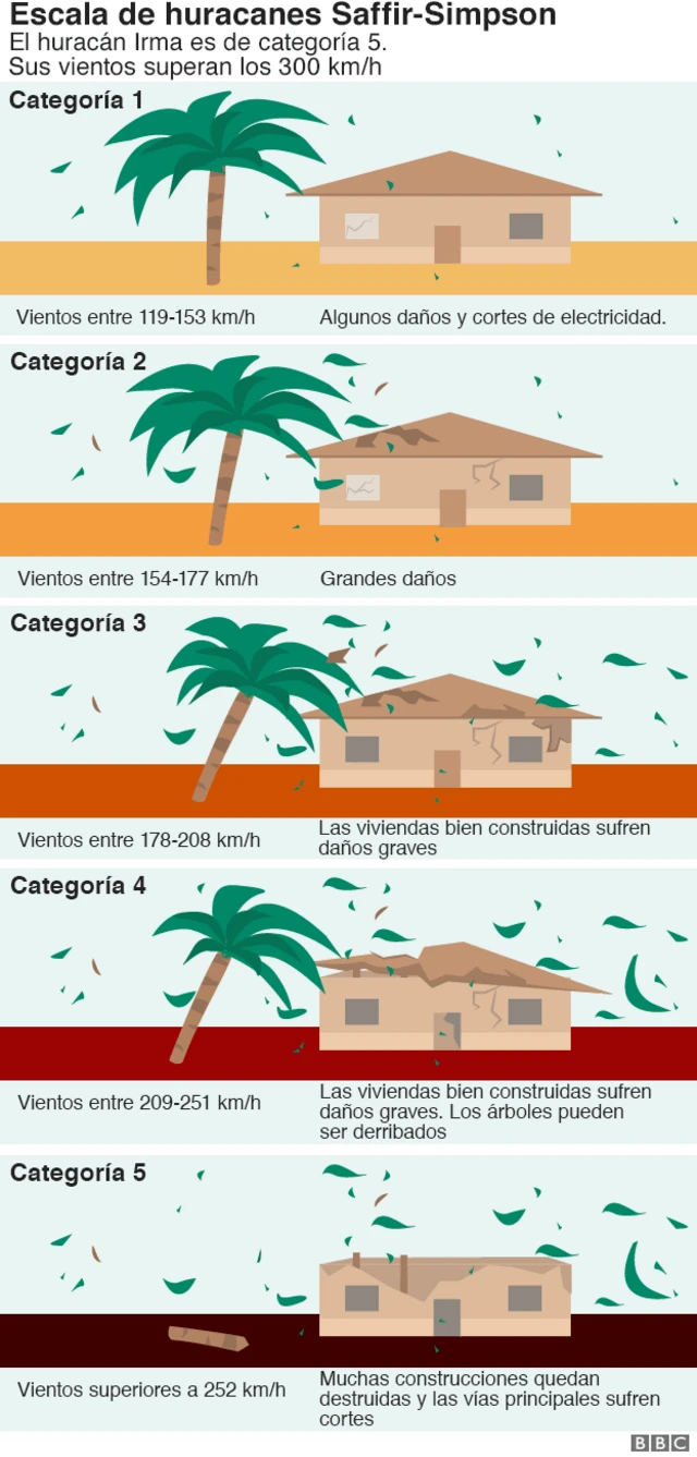 Gráfico de las categorías