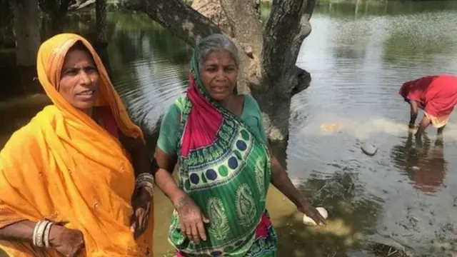 बाढी