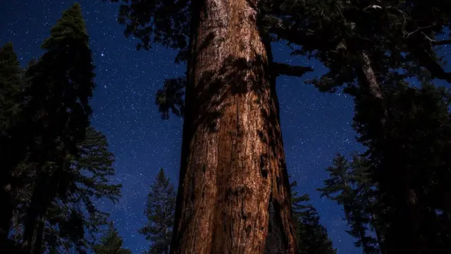 கடற்கரையில் இருக்கும் மணல் துகள்களைவிட இந்த பிரபஞ்சத்தில் நட்சத்திரங்கள் அதிகம் இருக்கின்றனவா?