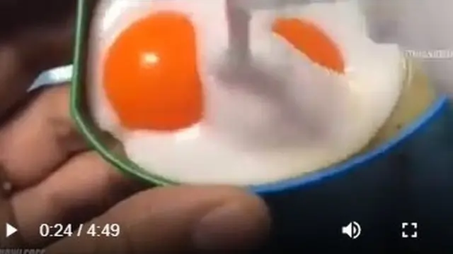 போலி முட்டை காணொளி