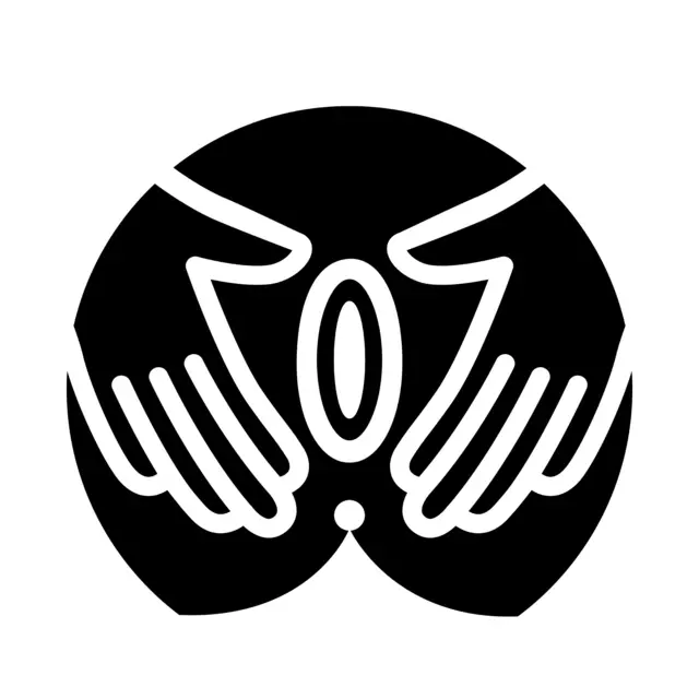 जुलैमध्ये इतर काहीजणांच्या मदतीने झोई आणि मारियाने पुसीपीडिया लाँच केला.