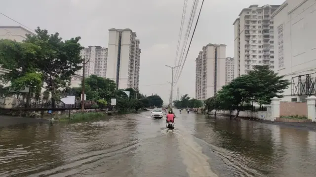 தாழம்பூர்