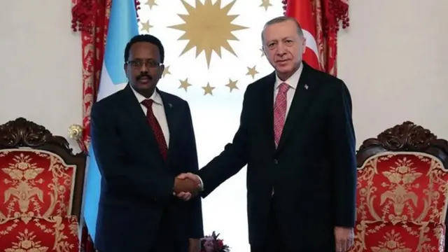 Farmaajo iyo Erdogan oo ku sugan Ankara