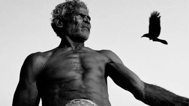 திணைகளின் கதை