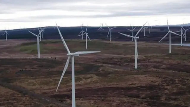 ملاحات في السويس