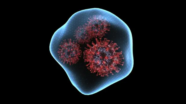 கொரோனா வைரஸ் - கோப்புப் படம்