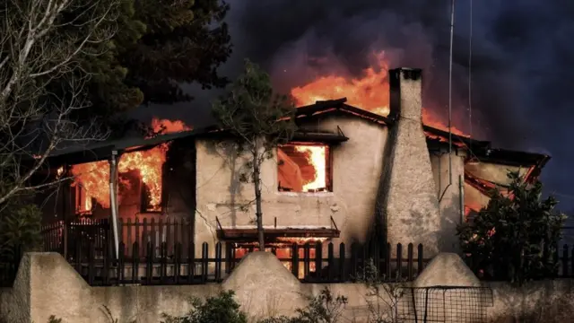 ગ્રીસના જંગલોમાં આગ